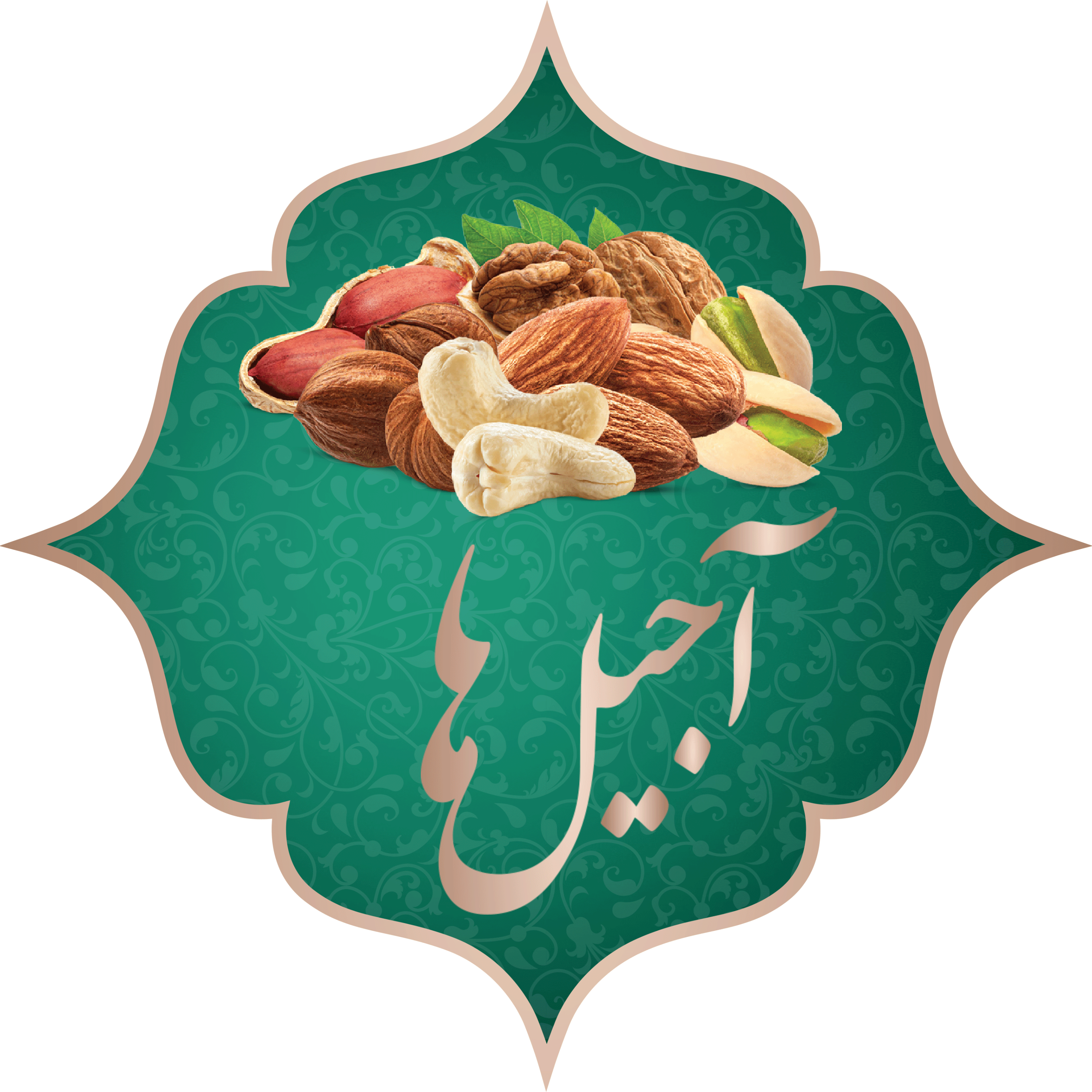 آجیل ها