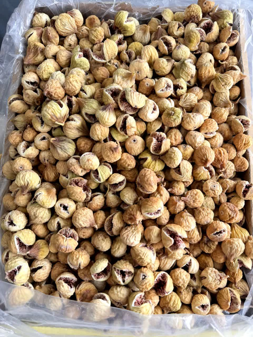 انجیر درجه یک